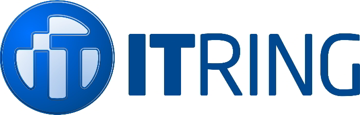 IT-Ring Logo